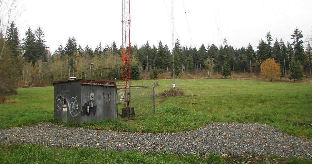 How Hope Bellingham News Works: A Plain-English Breakdown