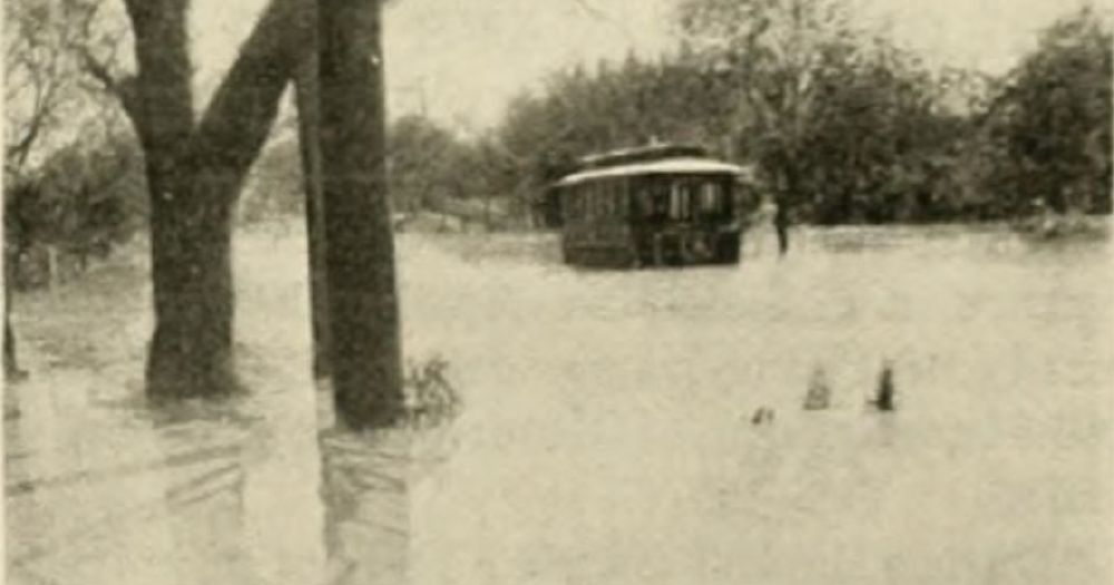 Key points: North Texas E News Basics: A Plain-Language Primer