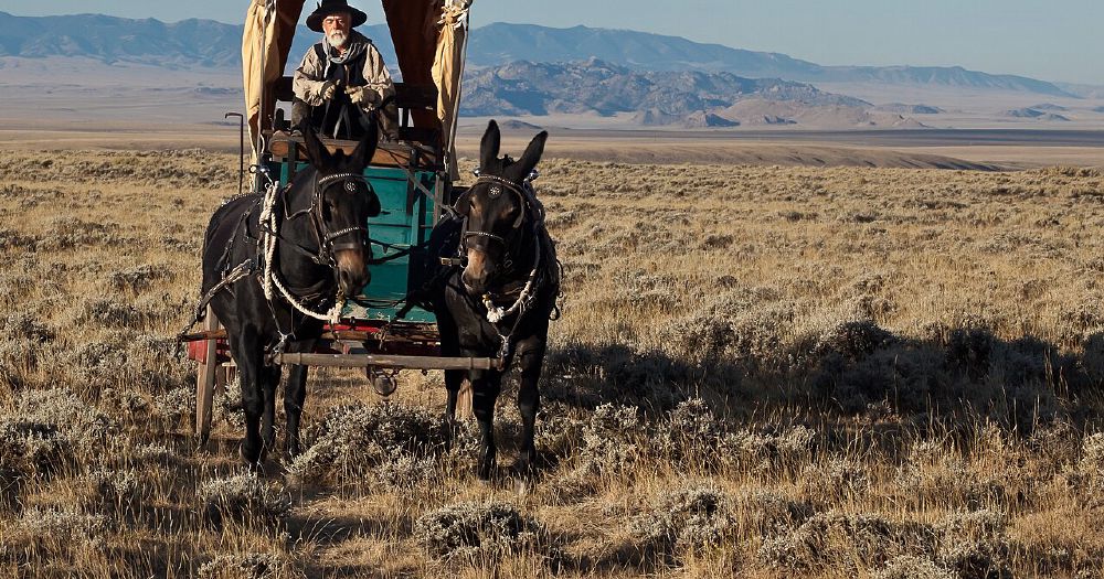 Getting the Best Results With K2 News Casper Wyoming: A Practical Roadmap